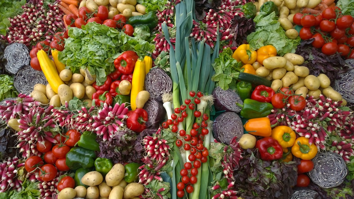 Guía de planes nutricionales personalizados
